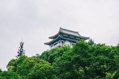 《荒野机器人》确认引进中国内地院线 待定档